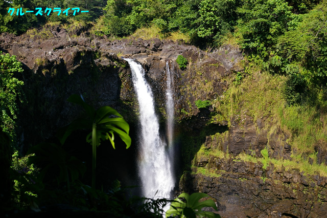 IMGP4016.jpg