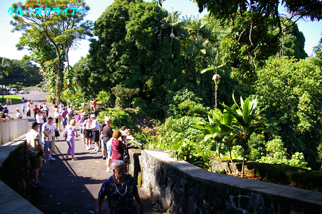 IMGP4017.jpg