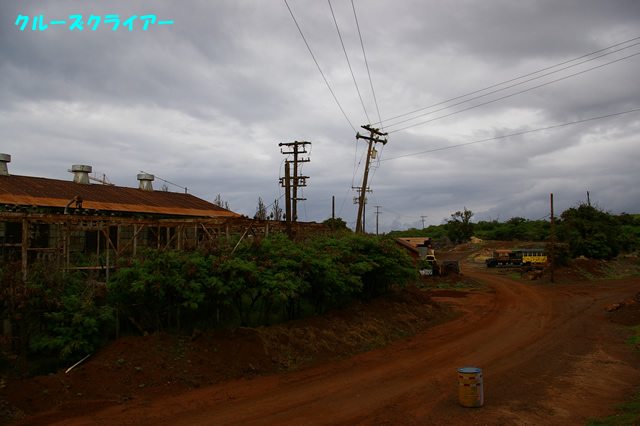 IMGP4315.jpg