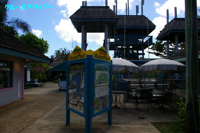 IMGP5032.jpg