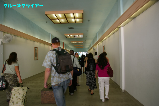 IMGP5382.jpg