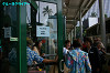 IMGP5388_thumb.jpg
