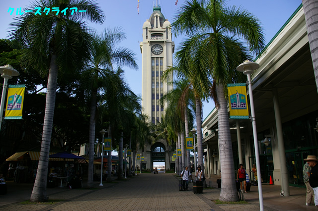 IMGP5390.jpg