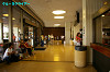IMGP5411_thumb.jpg