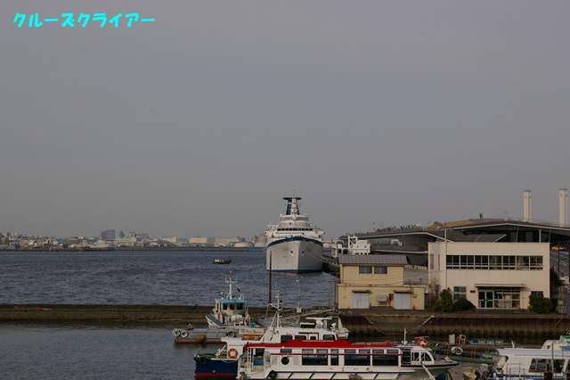 IMGP0078.jpg