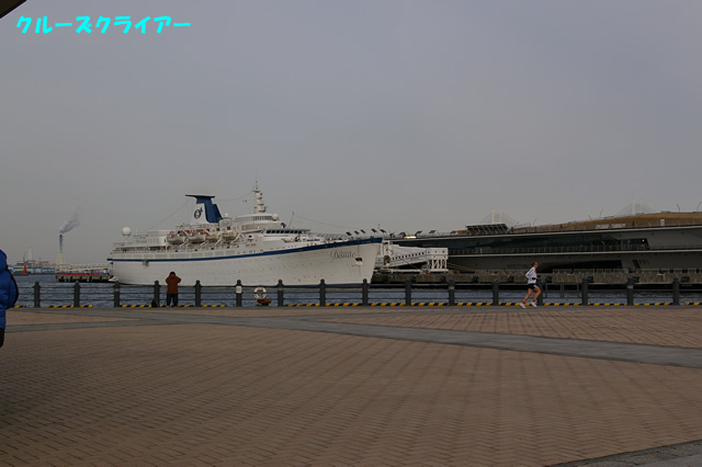 IMGP0081.jpg
