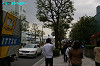 IMGP0094_thumb.jpg