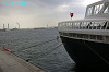 IMGP0123_thumb.jpg