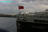 IMGP0125_thumb.jpg