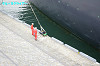 IMGP0152_thumb.jpg