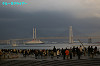 IMGP0248_thumb.jpg