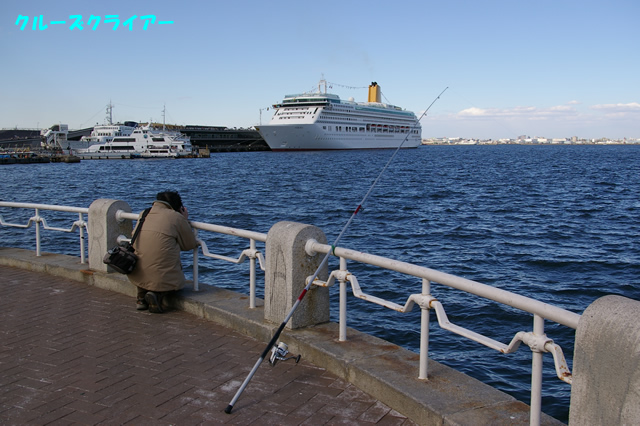 IMGP0271.jpg