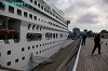 IMGP0295_thumb.jpg