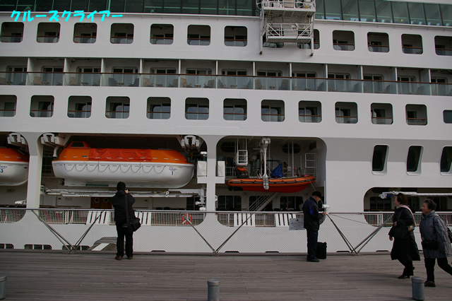IMGP0308.jpg