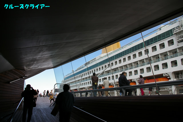 IMGP0311.jpg