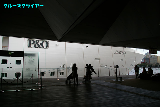 IMGP0312.jpg