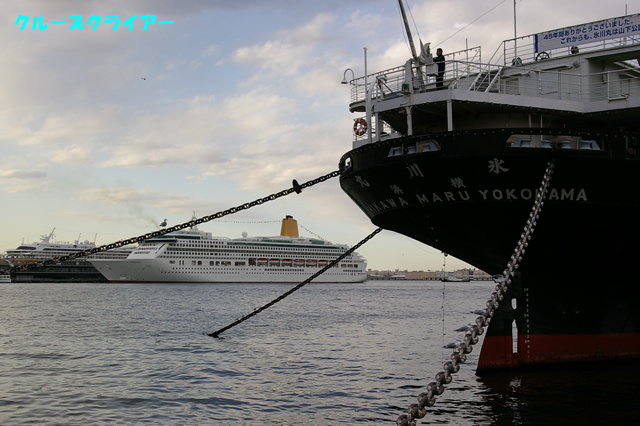 IMGP0314.jpg