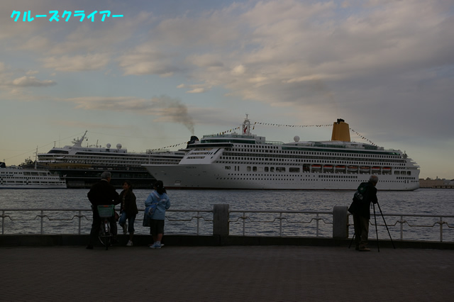 IMGP0316.jpg