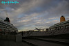 IMGP0332_thumb.jpg