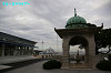 IMGP1196_thumb.jpg