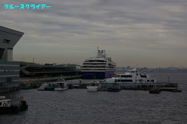 IMGP1203.jpg