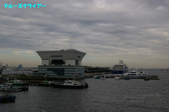 IMGP1204.jpg