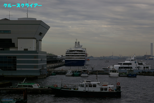 IMGP1205.jpg