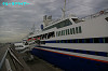 IMGP1209_thumb.jpg