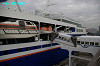 IMGP1214_thumb.jpg