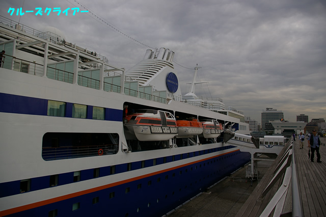 IMGP1217.jpg