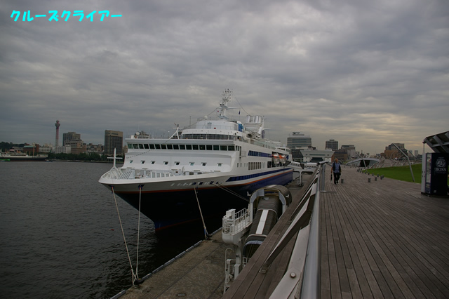 IMGP1225.jpg
