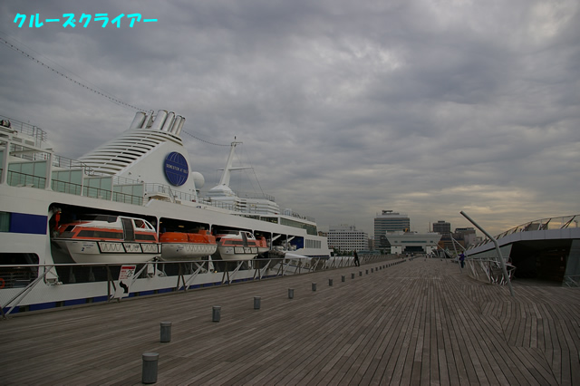 IMGP1229.jpg