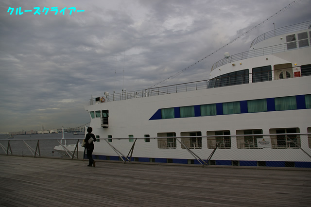 IMGP1230.jpg