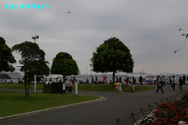 IMGP1238.jpg
