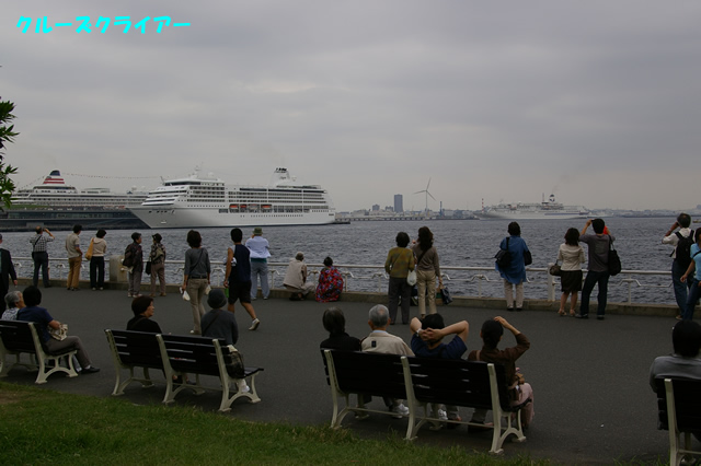 IMGP1239.jpg