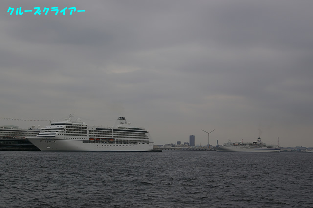 IMGP1241.jpg