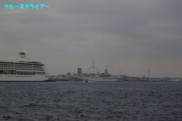 IMGP1242.jpg