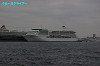 IMGP1243_thumb.jpg