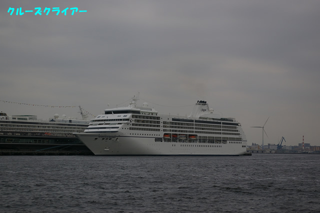IMGP1245.jpg