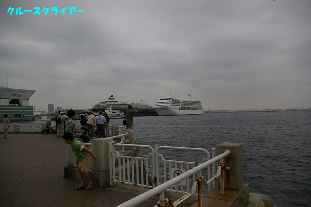 IMGP1246.jpg