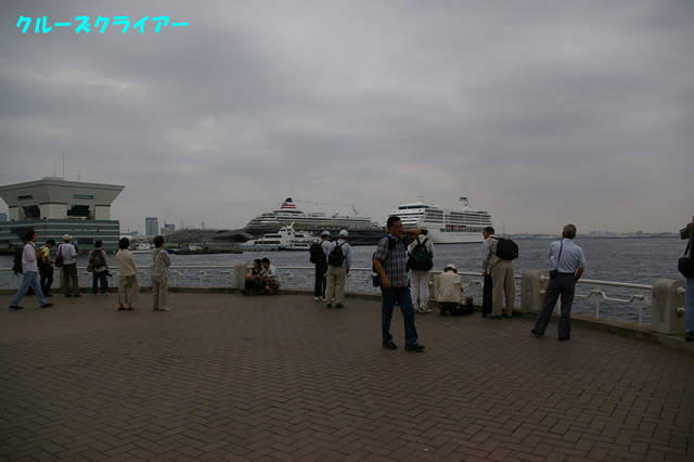 IMGP1248.jpg