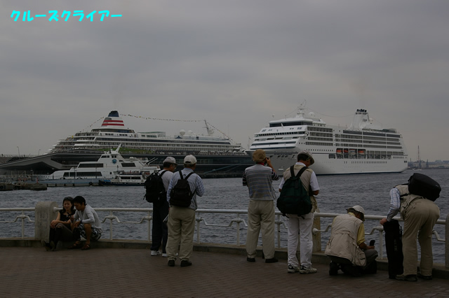 IMGP1249.jpg