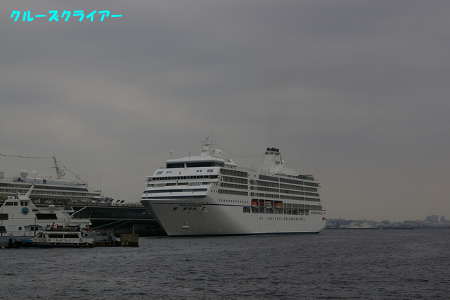 IMGP1250.jpg