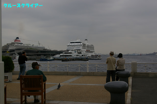 IMGP1251.jpg
