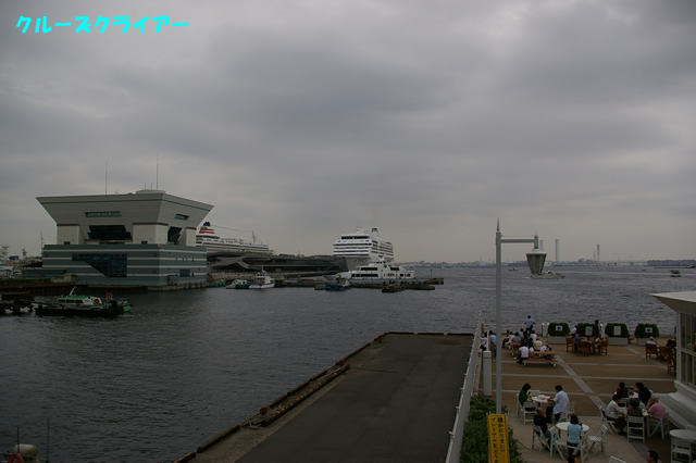 IMGP1252.jpg
