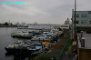 IMGP1253_thumb.jpg