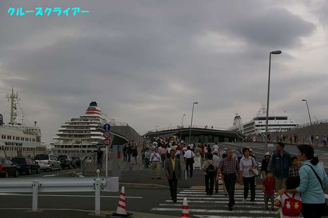 IMGP1255.jpg