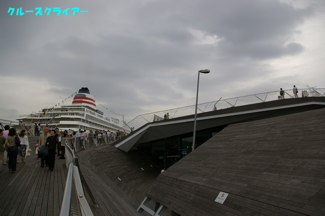 IMGP1256.jpg
