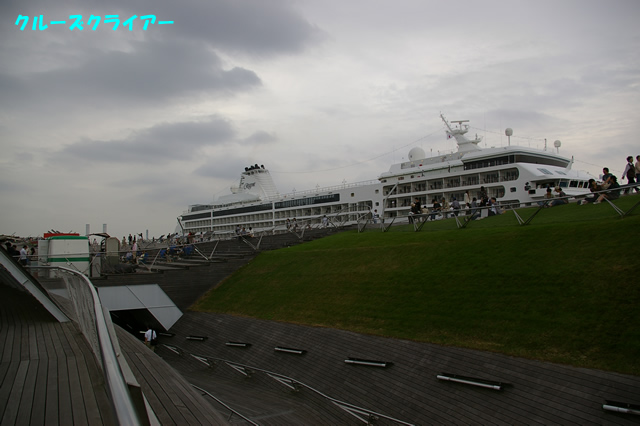 IMGP1258.jpg