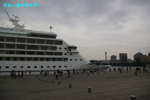 IMGP1259.jpg